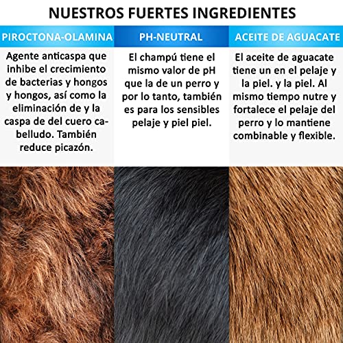 Champú para Perros Aceite Natural de Aguacate - Fabricado en Alemania - Elimina los Malos olores, para Pieles y pelajes sensibles, Reengrasa, Ayuda contra los picores y Las pulgas