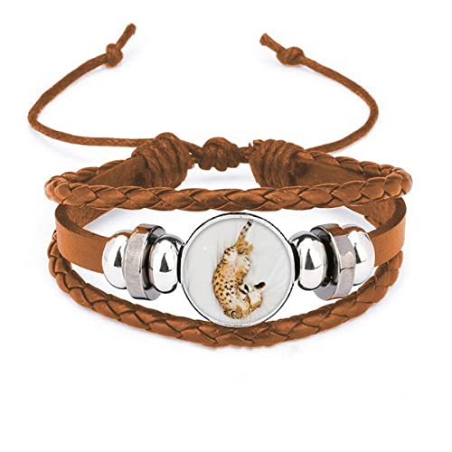 comp Animal Ocelot - Pulsera para fotografía de gato