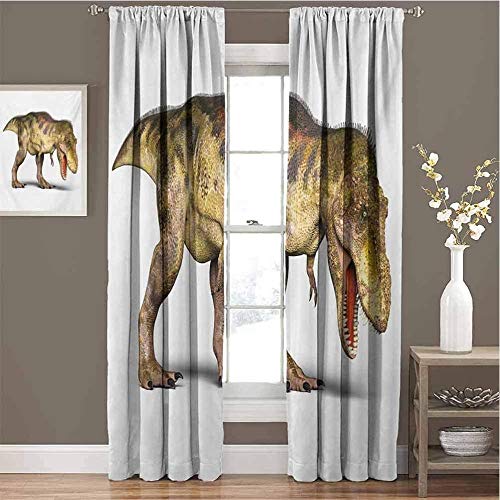 Cortinas térmicas, cortinas con ojales Cortinas opacas con aislamiento térmico 2 piezas de tela 100% poliéster （Ojal 4cm） Cortinas de aislamiento de dinosaurios especies extintas de animales prehistór