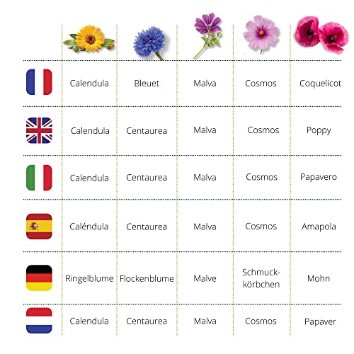 Cultivea – Mini Kit Huerto de Flores Comestibles – 100% Semillas Bio - Jardina, Decora y Degusta - Idea de Regalo (Calendula, Amapola, Malva, Cosmos, Poppy)