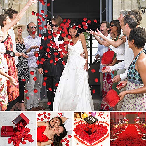 DASIAUTOEM 3000 Piezas Pétalos de Rosa, Pétalos de Rosa Rojos Artificiales Confeti de Rosas para Bodas Decoración, Fiestas, Proponer, Decoración de Regalo, día de San Valentín y Ambiente Romántico