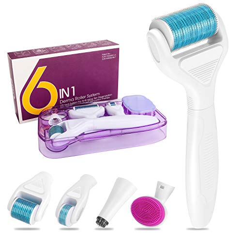 Derma Roller,Aiglam 6 en 1 Dermaroller de Titanio 0.25/0.5/1mm por Ojos, Cara, Cuerpo, Antimanchas, Anti-Edad, Antiarrugas (Blanco)