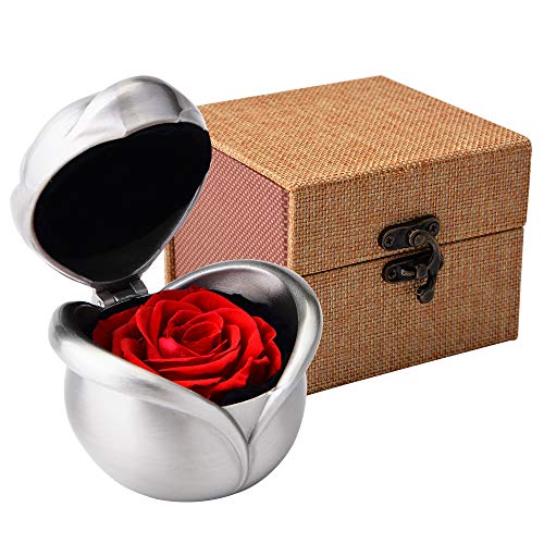 Dewanxin Rosa Eterna Natural,Flores Preservadas,Rosa Preservada,Flores Naturales,Caja Regalo,Regalos Originales para Mujer Madre Pareja Cumpleanos Aniversario(Rojo)