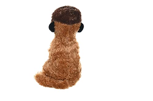 Dirgee Juguete Suave de Felpa de Meerkat, Juguetes mimados, Regalos for niños 30 cm (Color : Single, Size : 20 cm)