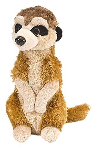 Dirgee Juguete Suave de Felpa de Meerkat, Juguetes mimados, Regalos for niños 30 cm (Color : Single, Size : 20 cm)