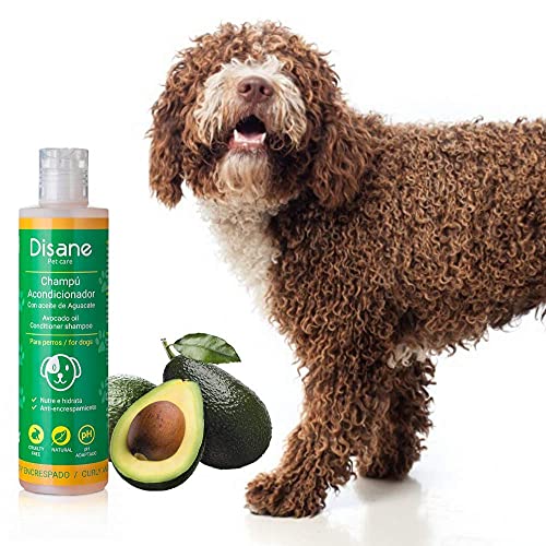 DISANE | Champu acondicionador Perro | Champu Perro | Perros Pelo Rizado | Perros Accesorios | 250ml | Antienredones