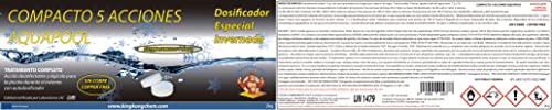 DOSIFICADOR INVERNADA AQUAPOOL 2 KG - Compacto 5 Acciones - Sin Cobre - Desinfectante y Algicida para el Tratamiento de Piscinas en Invierno con AUTODOSIFICADOR - Apto Piscinas Liner