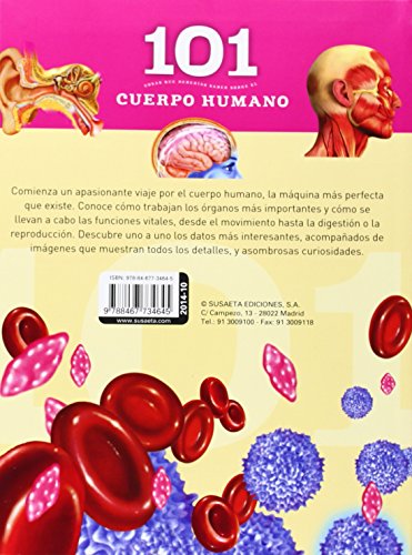 El cuerpo humano (101 cosas que deberías saber sobre)