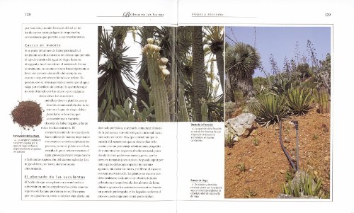 El jardín de cactus (Enciclopedia Universal)