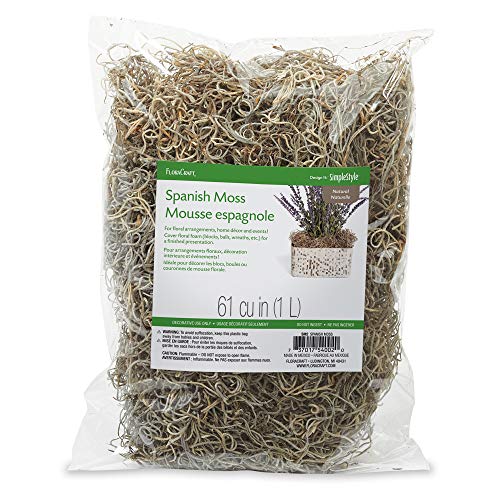 Flora Craft Spanish Moss 8oz-Natural