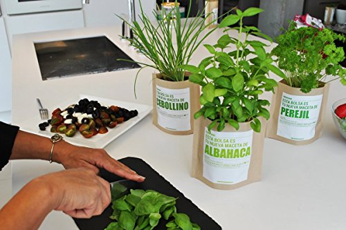 Garden Pocket - Kit de Cultivo de ALBAHACA - Bolsa Maceta