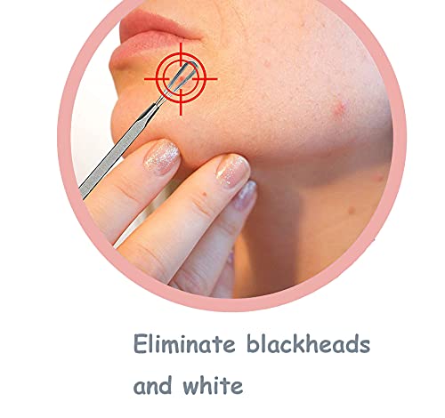 GeekerChip 9 Piezas de Herramientas para Eliminar Espinillas,Blackhead Remover Aguja de Acné para Quita Espinillas Granos Comedones