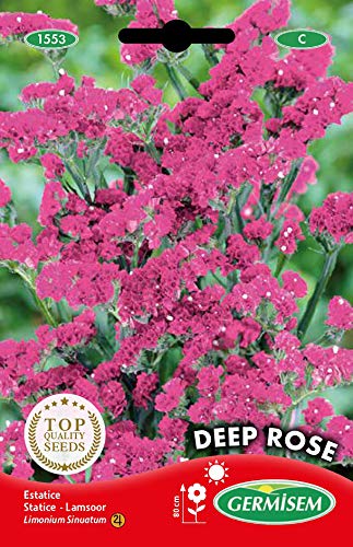 Germisem Deep Rosa Semillas de Statice 0.5 g