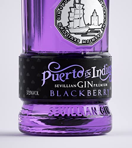 Gin Puerto de Indias - Pack Gin Blackberry Premium + Copa de Cristal con mensaje de Regalo - Ginebra de Moras Premium - Kit Ginebra de Mora con Copa de cristal - 70 cl - 37.5%