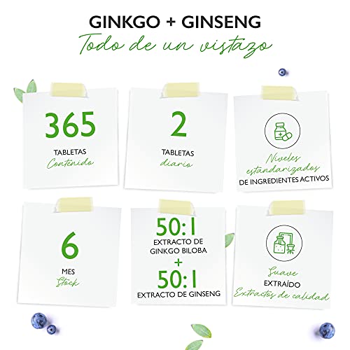 Ginkgo + Ginseng - 365 Comprimidos - Extracto especial - Alta dosis - Ginkgo Biloba + Ginseng coreano - Vegano