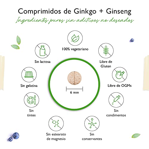 Ginkgo + Ginseng - 365 Comprimidos - Extracto especial - Alta dosis - Ginkgo Biloba + Ginseng coreano - Vegano