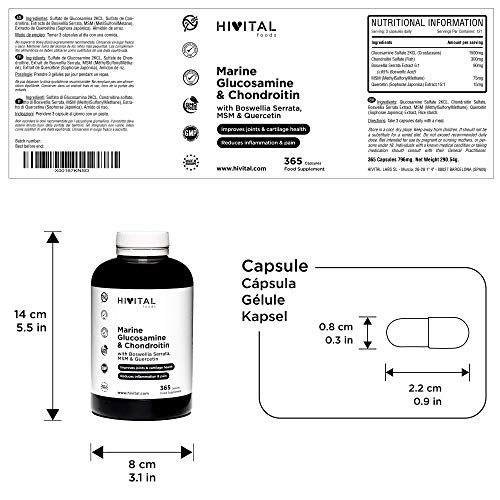 Glucosamina con Condroitina | 365 cápsulas | Con MSM, Boswellia Serrata y Quercetina | Antiinflamatorio natural que reduce el dolor y la inflamación articular y fortalece los huesos y los cartílagos