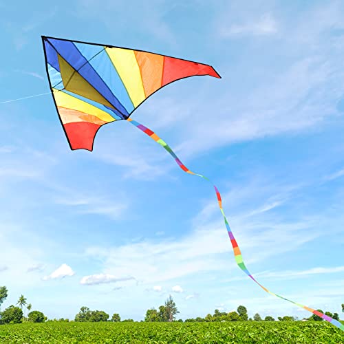 Gran Cometa para Niños y Adultos, Cometas de Colores Fácil de Volar con Viento Fuerte o una Suave Brisa, Ideal para Principiantes, Juegos al Aire Libre, Actividades, Viaje a la Playa (Delta 150*80 cm)