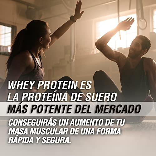 Healthy Fusion Whey Protein, Proteina whey pura con colágeno + magnesio, Mejora tus entrenamientos, Protege y aumenta la masa muscular, 1000g de proteína (Galletas)