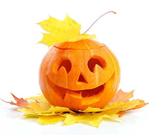 Jack O 'Lantern Semillas de calabaza - Cucurbita pepo