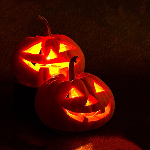 Jack O 'Lantern Semillas de calabaza - Cucurbita pepo