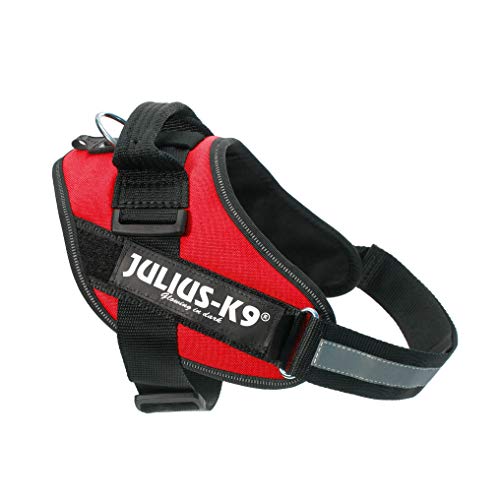 JULIUS-K9 IDC Arnés para perros, talla 0/M, 58–76 cm, peso 14-25 kg, Rojo,