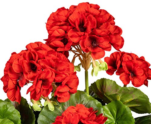 kunstpflanzen-discount.com Geranie - Flores Artificiales con 5 Flores Rojas de 32 cm de Alto y 30 Hojas - Planta Artificial Artificial, Flores de Seda o Flores de plástico