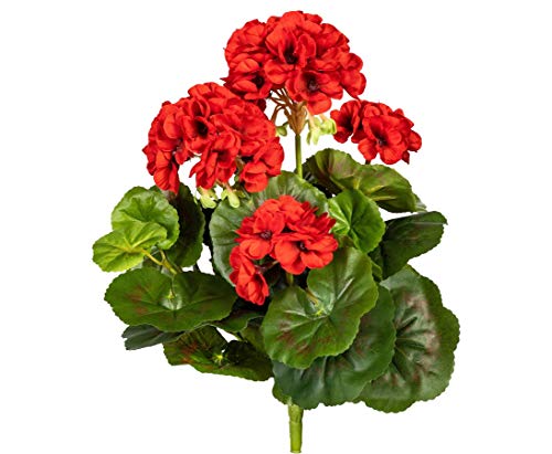 kunstpflanzen-discount.com Geranie - Flores Artificiales con 5 Flores Rojas de 32 cm de Alto y 30 Hojas - Planta Artificial Artificial, Flores de Seda o Flores de plástico