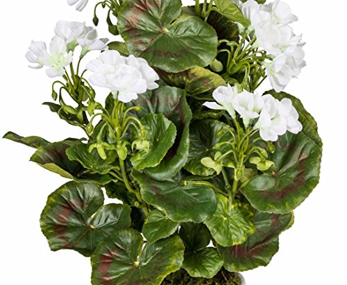 kunstpflanzen-discount.com - Geranio Artificial, diseño Floral, Resistente a los Rayos UV, 40 cm, Color Blanco