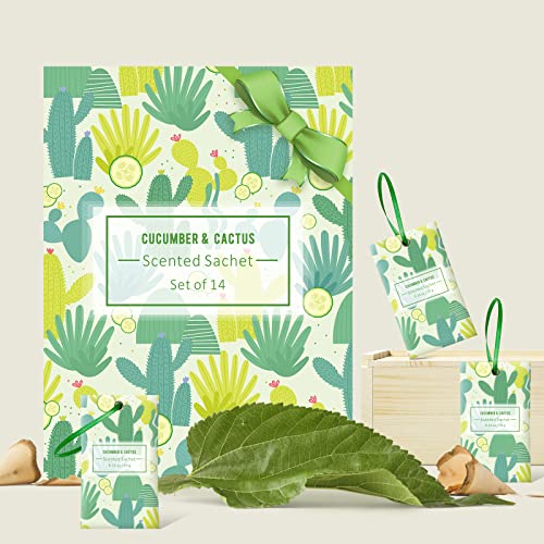 LA BELLEFÉE Sobres Perfumadas, Bolsitas Cactus de Pepino, Adecuado para armarios, zapateros, dormitorios, baños, eliminación de olores en automóviles, Aire Fresco, Paquete de 14