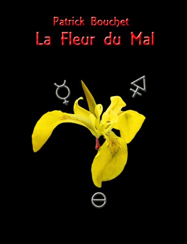 La Fleur du Mal (Les enquêtes de la capitaine Valentin) (French Edition)