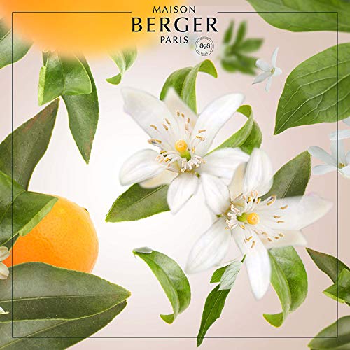 Lampe Berger - Recambio de lámpara Fleur d'oranger Perfume Floral