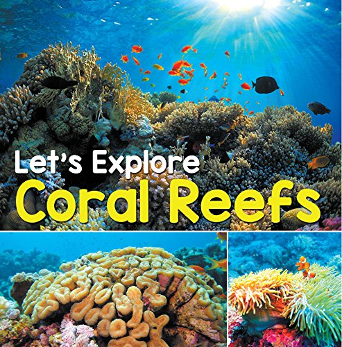 Let's Explore Coral Reefs: Under The Sea for Kids (Children's Fish & Marine Life Books) (English Edition)