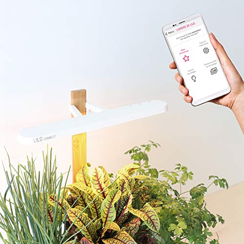 Lilo Connect, el huerto de interior conectado de Prêt à Pousser - Cultiva todo el año con facilidad - Incluye albahaca, menta y cebollino