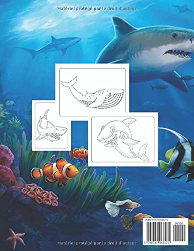 Livre de coloriage sur les requins: Un livre de coloriage étonnant avec des requins, des baleines et d'autres animaux spectaculaires à voir | Livre ... et les filles | parfait pour tous les âges