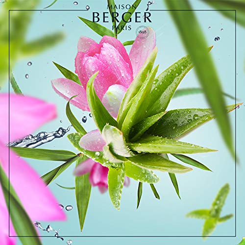 Maison Berger - Recarga de perfume para lámpara Berger (1 L) EAU D' ALOE VERA - ALOE VERA WATER