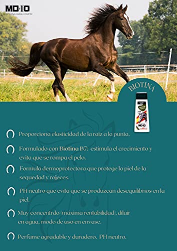 MD-10 Champú específico para Caballos con Biotina (300 ML)