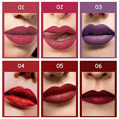 Mengxin 6 Colores Lápiz Labial Líquido Pintalabios Mate Larga Duracion Mate Brillo Labial de Hidratante Brillo de Labios Impermeable Regalo San Valentín, Cumpleaños para Damas