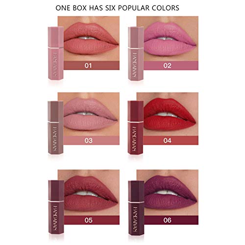 Mengxin 6 Piezas Lápiz Labial Mate Set Terciopelo Perdurable Labios Impermeables Antiadherente Regalo para Cumpleaños Navidad Novia Madre