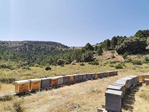 Miel de abeja Natural, Cruda y Pura Alta Montaña/Lavanda. Cosechada a 1900m.s.n.m. Directa del Apicultor. 100% NATURAL- Empresa Artesanal y Familiar- Desde 1972- Origen ESPAÑA 1Kg