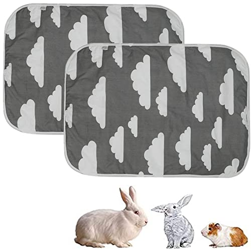 Mildair Almohadillas reutilizables para cachorros de entrenamiento, 2 unidades, lavables almohadillas para orinar de perro, para interiores y exteriores, viajes en coche (nubes)