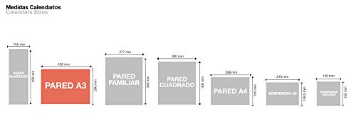 Miquelrius - Calendario de pared 2022 Basic - tamaño A3 (420 x 296 mm) - con números grandes - Gris