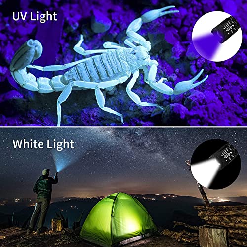 morpilot Linterna Táctica y UV 2 en 1, Linterna LED 500LM, Linterna Militar, Aluminio, Anti-caída, Impermeable IPX4, 4 Modos, 395nm Lampara uv para Detector Billetes, 3 Baterías Incluidas, Negro