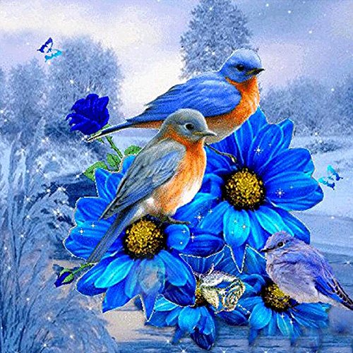 MXJSUA 5D Diamond Painting Kits de Taladro Completo Adultos Rhinestone Pegado Artes Artesanía Inicio Decoración de la Pared 30x30 cm Blue Bird