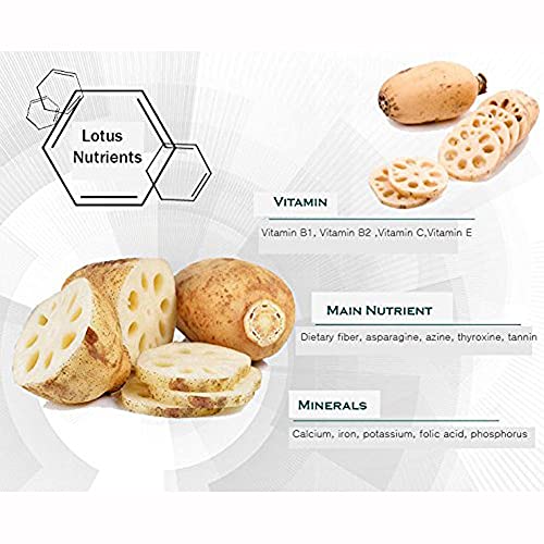 NAEMANGAETBEOL Lotus Root Powder Natural 100% fibra saludable vitamina C pura Amino Acid hecho en Corea (500)