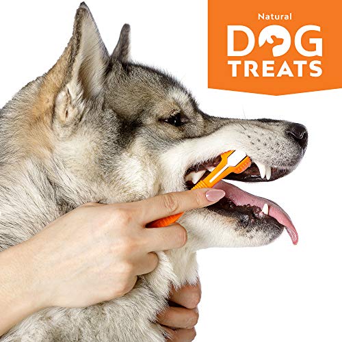 Natural Dog Treats Cepillo y 4X Dentífrico Set para Perros, Set Higiene Dental, Pasta de Dientes Sabor a Carne, Cuidado Dental Comestible