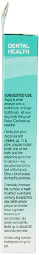 Nutri-Vet Pasta dentífrica enzimática para perros | Sin espuma y diseño de calidad | 2.5 oz