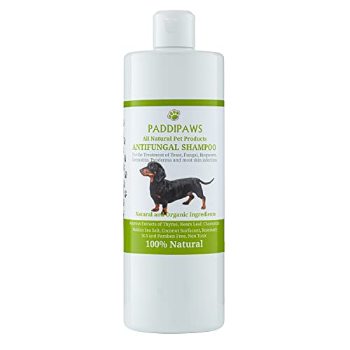 PADDIPAWS Champú antifúngico y antibacteriano para perros 100% natural, infecciones por levaduras, tiña, dermatitis, pioderma, ingredientes naturales seguros – Sin parabenos ni SLS – 500 ml