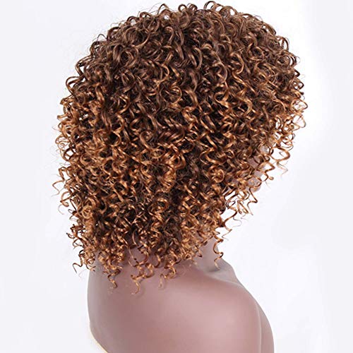 Pelucas sintéticas rizadas Afro para las mujeres negras Peluca rizada rizada rizada marrón corta Peluca Fluffy del aspecto natural a prueba de calor completa con el casquillo de la peluca