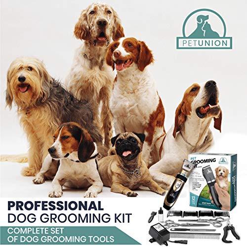 Pet Union Professional Dog Grooming Kit - Cortapelos recargables e inalámbricos para mascotas y juego completo de herramientas para el cuidado de perros. Poco ruido y apto para todas mascotas (dorado)